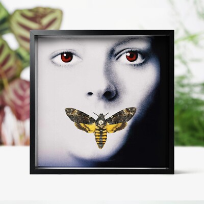Death's Head Hawkmoth Silence of The Lambs Moth Butterfly Insect Bug Box Frame