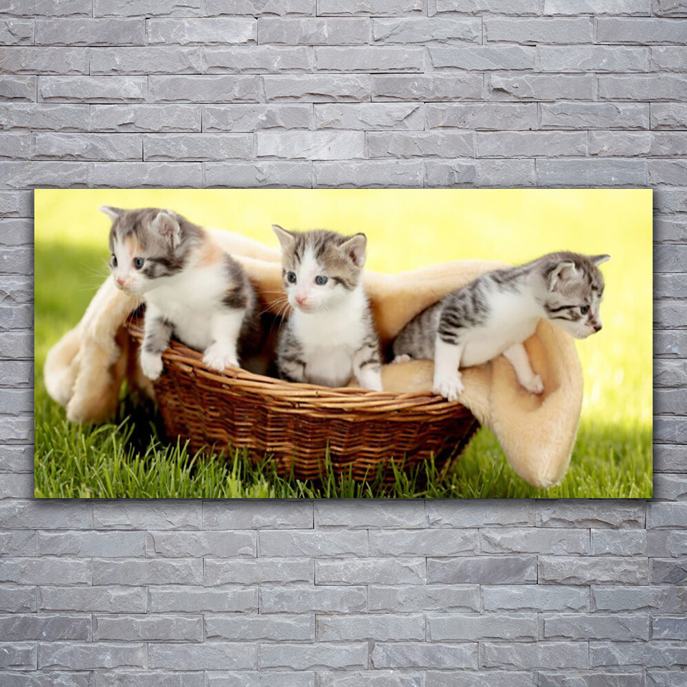 Tableau sur verre deco Tulup Chats 120x60 cm anti-poussiere cadre mural design