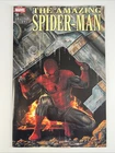 Amazing Spider-Man #14 (2025) Bermejo Variant ~ Marvel Comics
