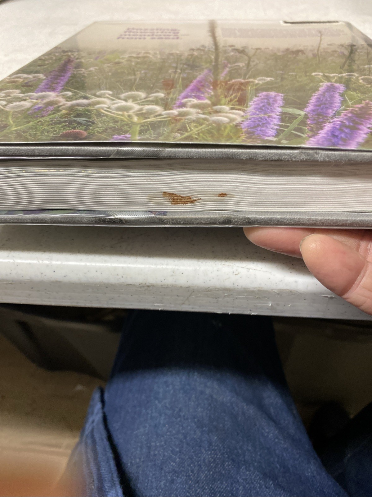 Sowing Beauty: Designing Flowering - Hardcover, by Hitchmough James -