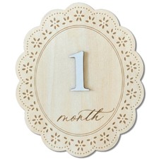 Baby Girl Monthly Milestone Signs, 1-12 5.5 inches x 6.5 inches, M03