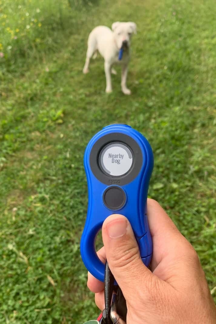LynQ Smart Compass Tracker GPS - Blue - Great Condition Works
