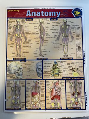 Quick Study Laminated Reference Guide - Anatomy