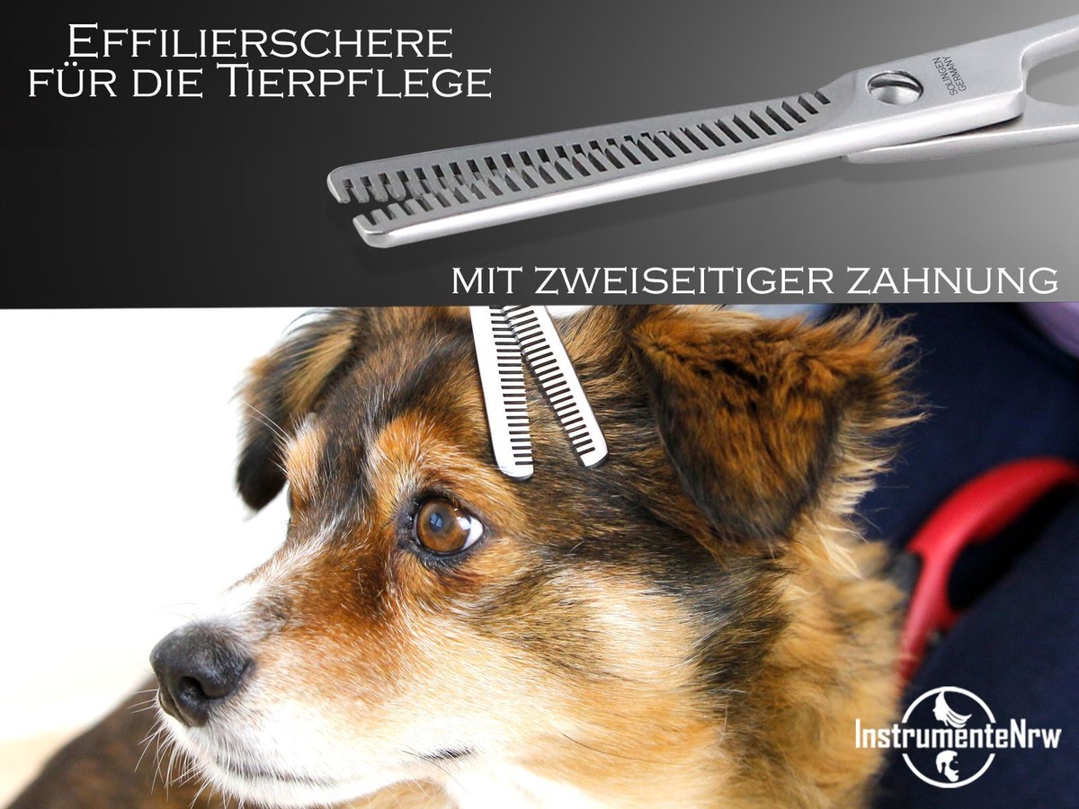 Pet Grooming Scheren Set – 4-teiliges Profi-Set Aus Edelstahl Für Hunde & Katzen (17,8 Cm)