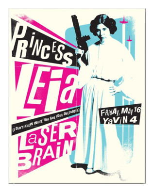 12'' X 16'' PRINCESS LEIA LASER BRAIN FRIDAY MAY 16 METAL SIGN NEW