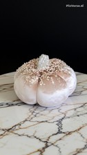 8" Halloween VELVET PUMPKIN EMBELLISHED GLITTER champagne silver Decor NEW