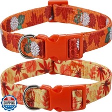 Fall Dog Collar for Medium Dogs, 2 Pack Thanksgiving Dog Collars with Maplel