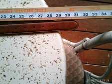 Target Be Medium Brown Cognac Leather 301" Jeans Dress Casual Ladies