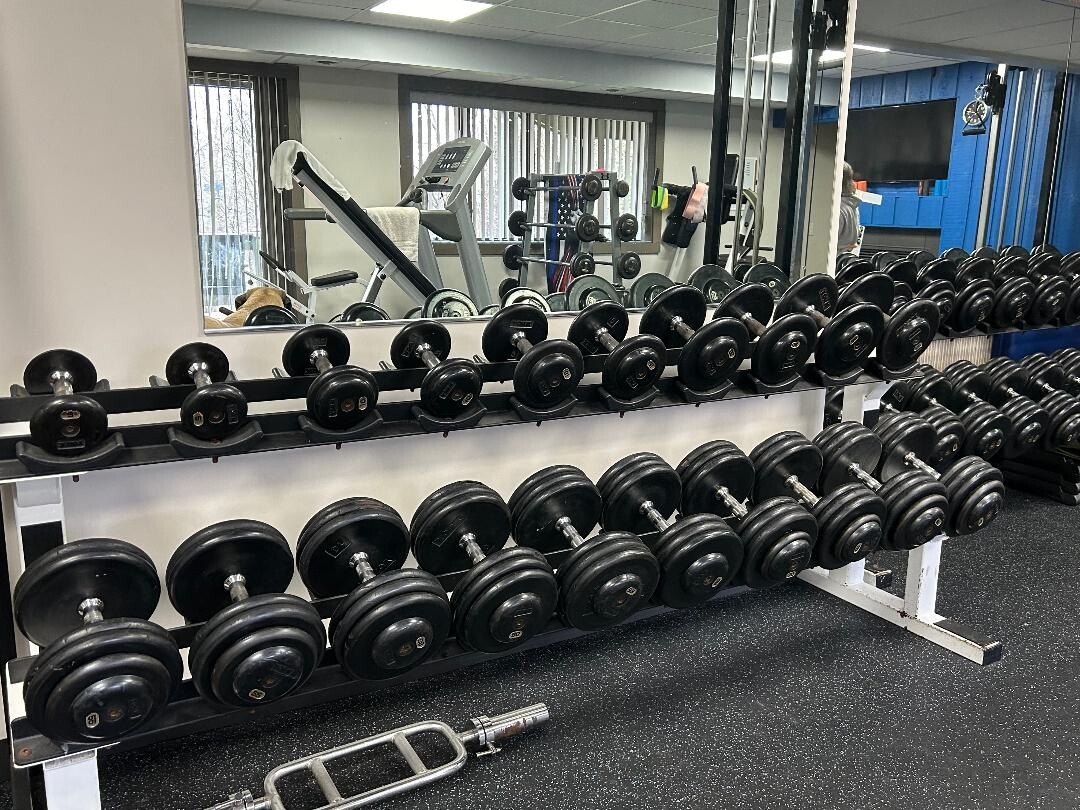 York Pro Style Dumbbell set 5100 and racks eBay