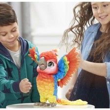 rock a too show bird