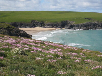 Foto 6x4 Polly Witz West Pentire Porth Witz ist lokal bekannt als Polly Jo c2009