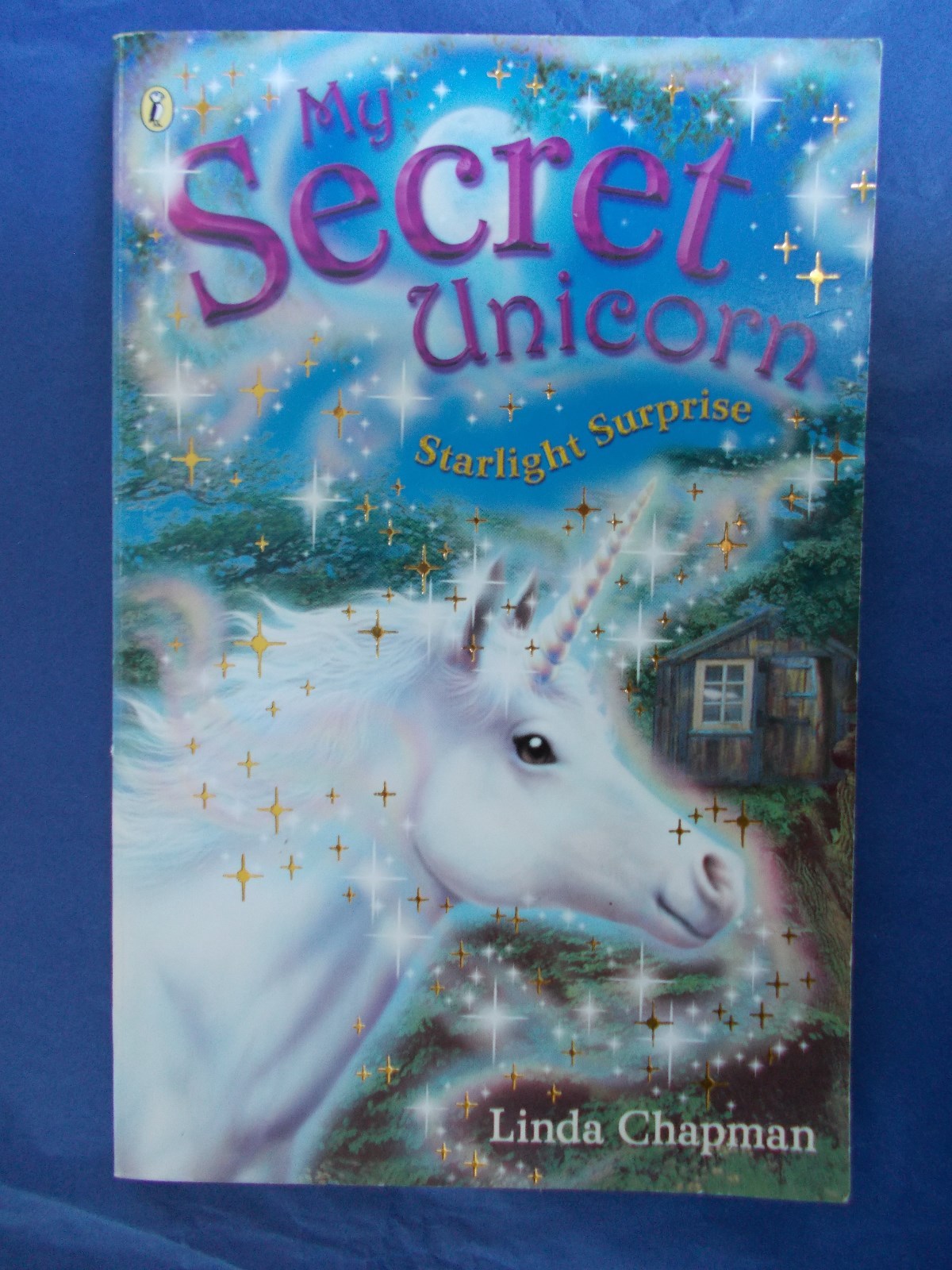 Linda Chapman Starlight Surprise My Secret Unicorn paperback
