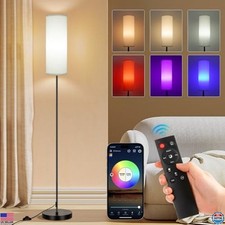 FRIDEKO HOME Floor Lamps for Living Room, Dimmable Colors Temperature  Premium