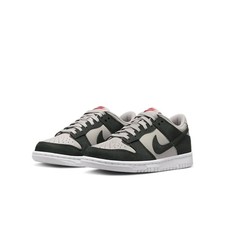 Nike Kids Dunk Low Shoes Lightt Iron