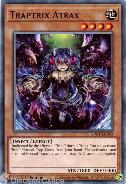 SDBT-EN003 Traptrix Atrax :: Common 1st Edition Mint YuGiOh Card