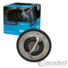 Thermostat Nissan TERRANO