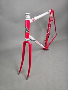 rennrad reisen 2024 Tour - Faszination - Kalender - Delius-Klasing-Verlag - Wandkalender mit schönsten Radsportbildern Specialized ALLEZ E5 DISC 2024 Size:0-5 Liter NPD - Alexander Quadrant