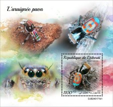 Peacock Spider Insects MNH Stamps 2024 Djibouti S/S