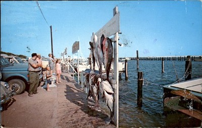 Pensacola Fort Walton Destin Florida FL Fishing Dock c1960s Vintage Postcard