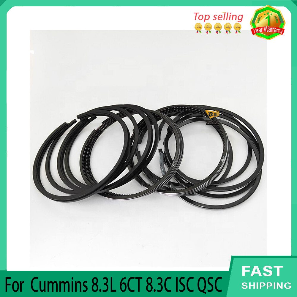 6* Piston Ring Sets 4955651 3921919 3928294 For Cummins 8.3L 6CT 