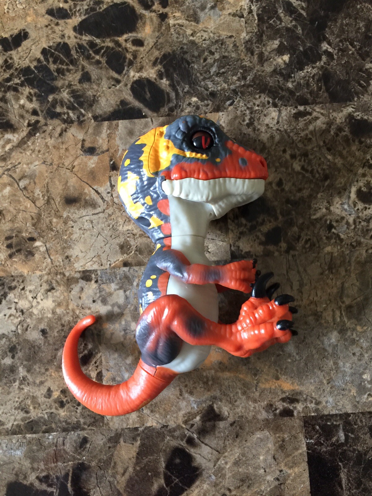 blaze untamed raptor