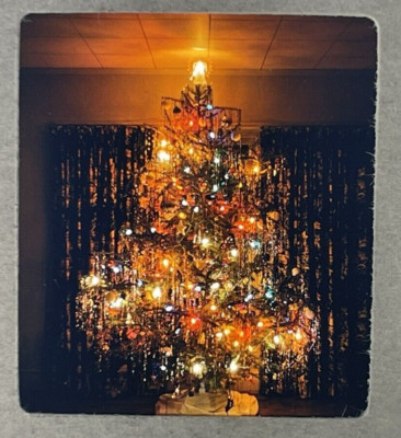 1954 3D Stereo Slide of A Decorated Christmas Tree Ablaze In Light