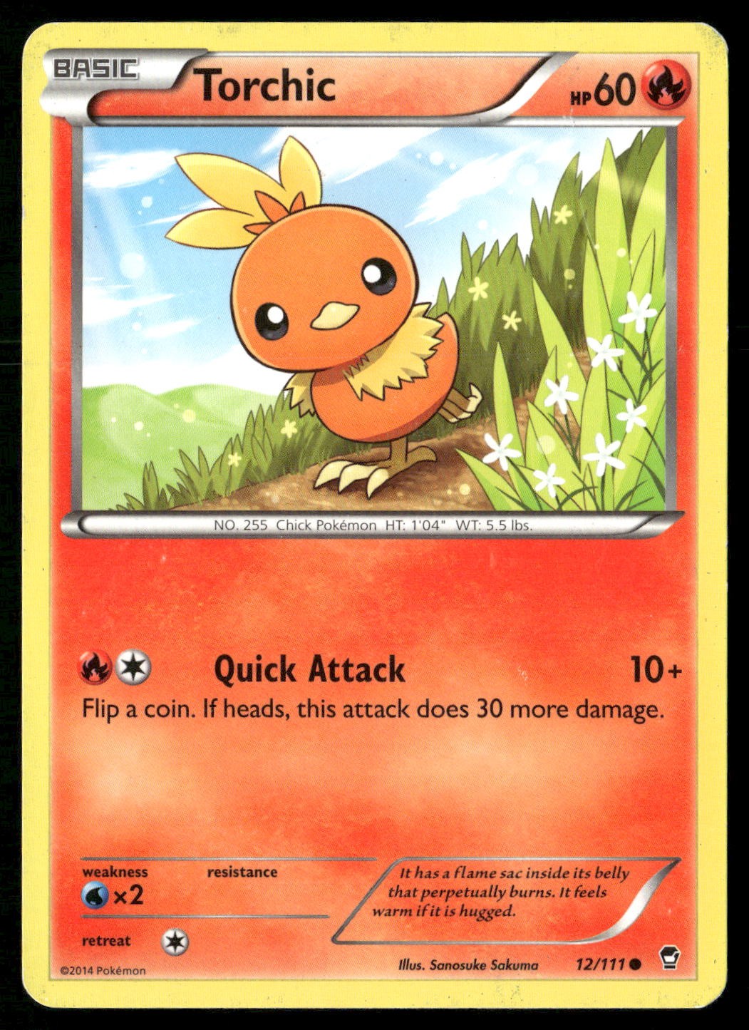 Torchic 12/111 Common Furious Fists Pokemon Damaged