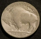 1925 D Buffalo Nickel Semi-Key Date Horn Details Holo-Restored Five 5c Coin C394