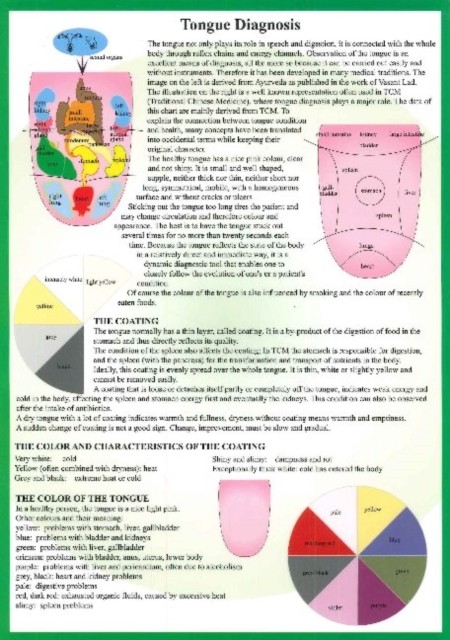 Tongue Diagnosis -- A4 by  Jan Van Baarle - 9789079887910 - Image 6