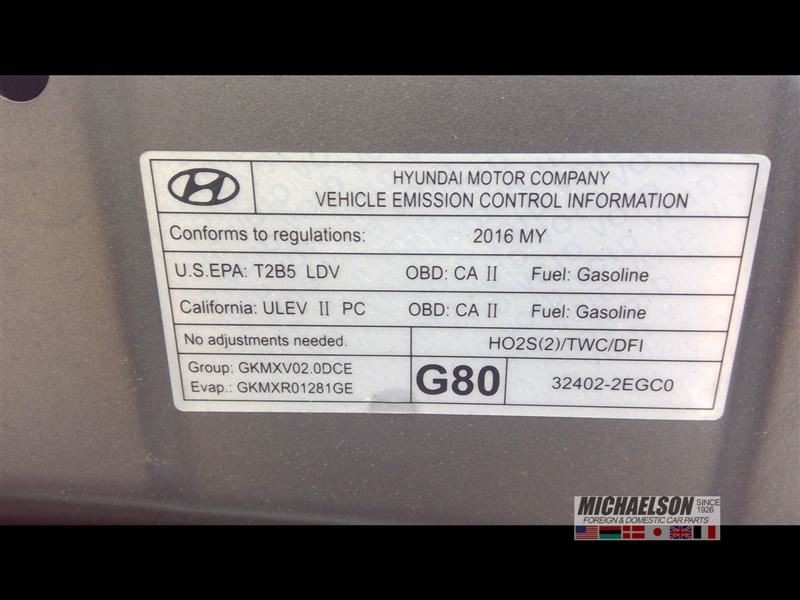 (LOCAL PICKUP ONLY) Driver Rear Side Door Electric Hatchback GT Limited Fits 13-