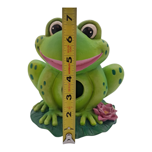Frog 🐸 Birdhouse Parjarera Rana Decorative Backyard Hanging Bird House - Picture 4 of 22