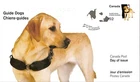 Canada - FDC - Scott 2266 - Guide Dogs - 2008