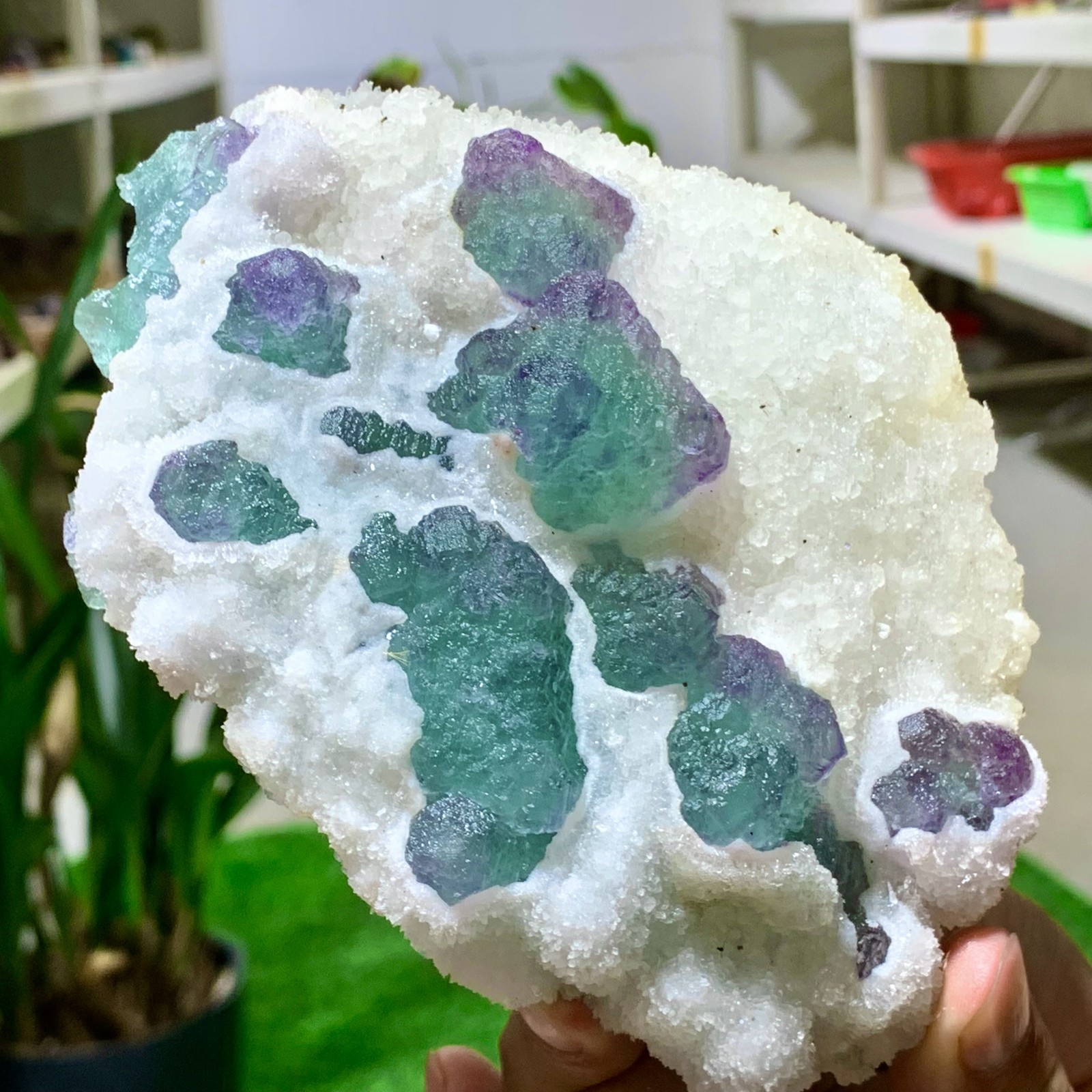 1.11LB Rare Blue Green Purple Cubic Fluorite Crystal Specimen from Zhejiang