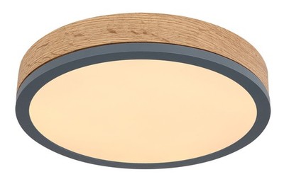 GLOBO WD1R DORO Ceiling Light Metal Graphite, LED, Warm White, 3000K, 950lm, IP2