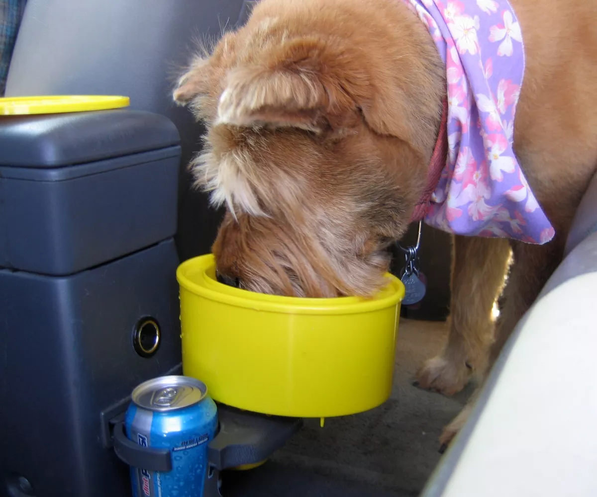 To Go Bowl dog travel bowl fits in car s cup holder Limited