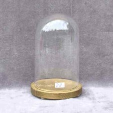 Retro round glass dome 7.87 x 4.72" bell jar 20 x12cm cloche itaxidermy display