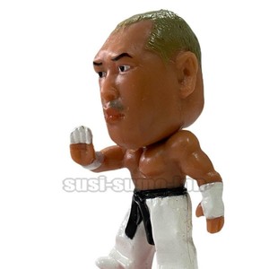 Get Wwe Jinsei Shinzaki Hakushi Mini Big Head Figure Michinoku Ebay For iPhone Wallpaper Wwe Jinsei Shinzaki Hakushi Mini Big Head Figure Michinoku Ebay Free
