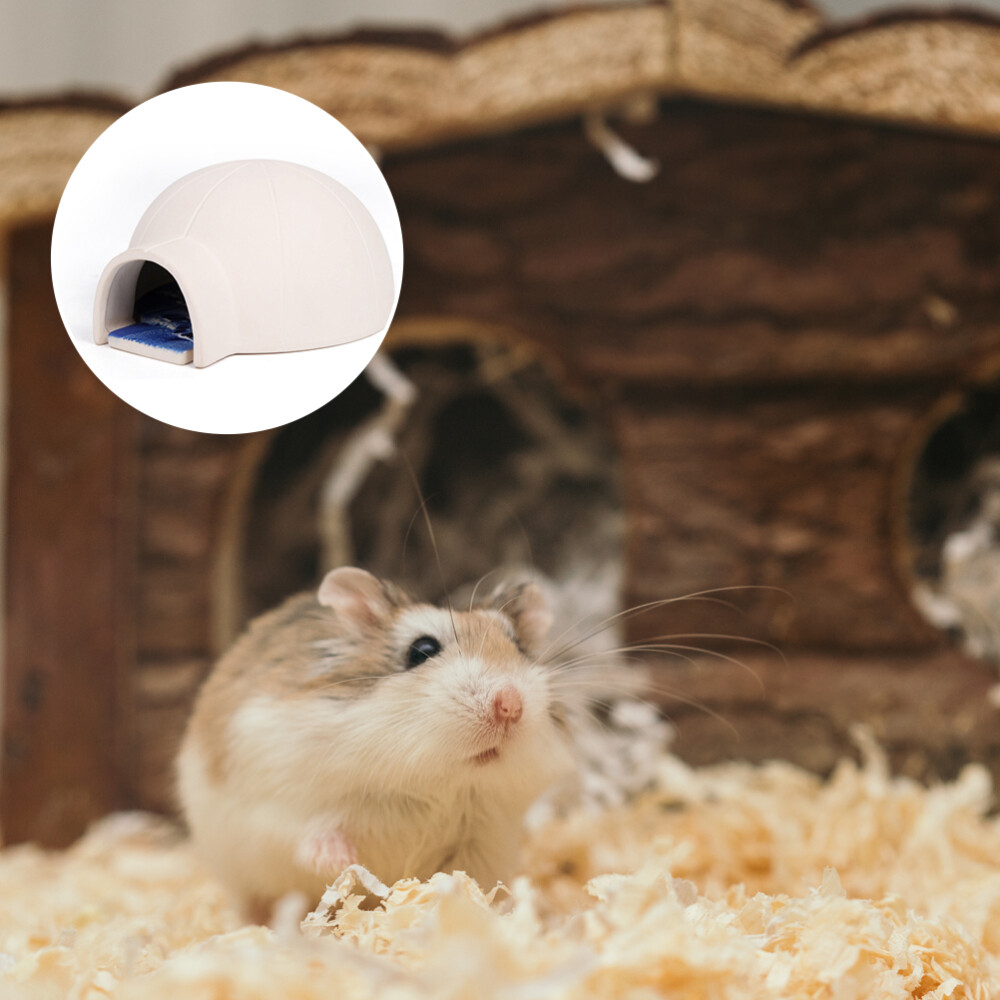 igloo hamster cage