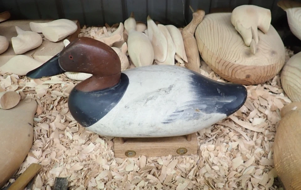 R. Madison Mitchell, Havre de Grace Maryland Canvasback Drake Decoy - Image 3 of 4