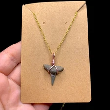 Fossil FL Lemon Necklace Sharks Tooth Florida Shark Teeth Jewelry