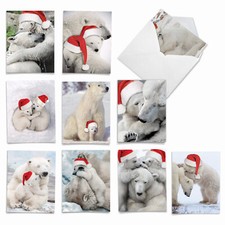 10 Merry Christmas Cards Assorted - Bear Hugs AM6327XSG-B1x10
