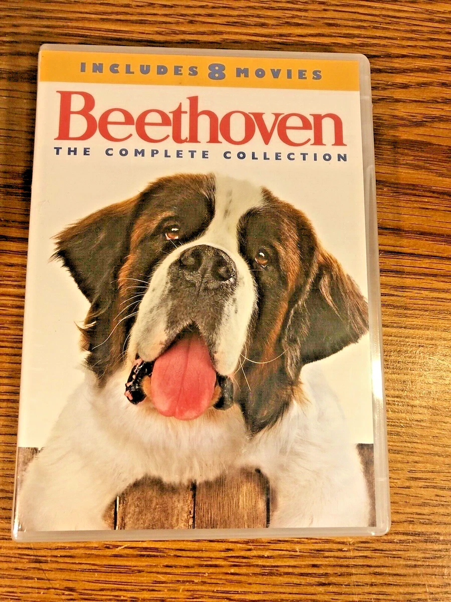 Beethoven movie 2024