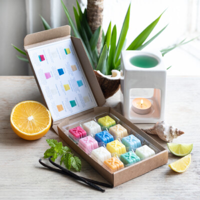 CITRUS & SUMMER WAX MELTS AUSWAHLBOX TOLLES GESCHENK/GESCHENKSET, KOSTENLOSER VERSAND