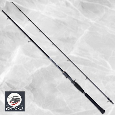 Tenryu BAYBLAZE BBZ601B-XXX Baitcasting Rod BOAT SEABASS GAME | eBay