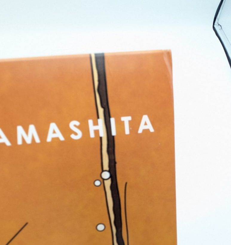Dan Tanda MF DOOM Tatsuro Yamashita Mashup 12