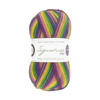 WYS Signature - Wildflower (872) - Winwick Mum 4-fädig Garn Wolle 100g