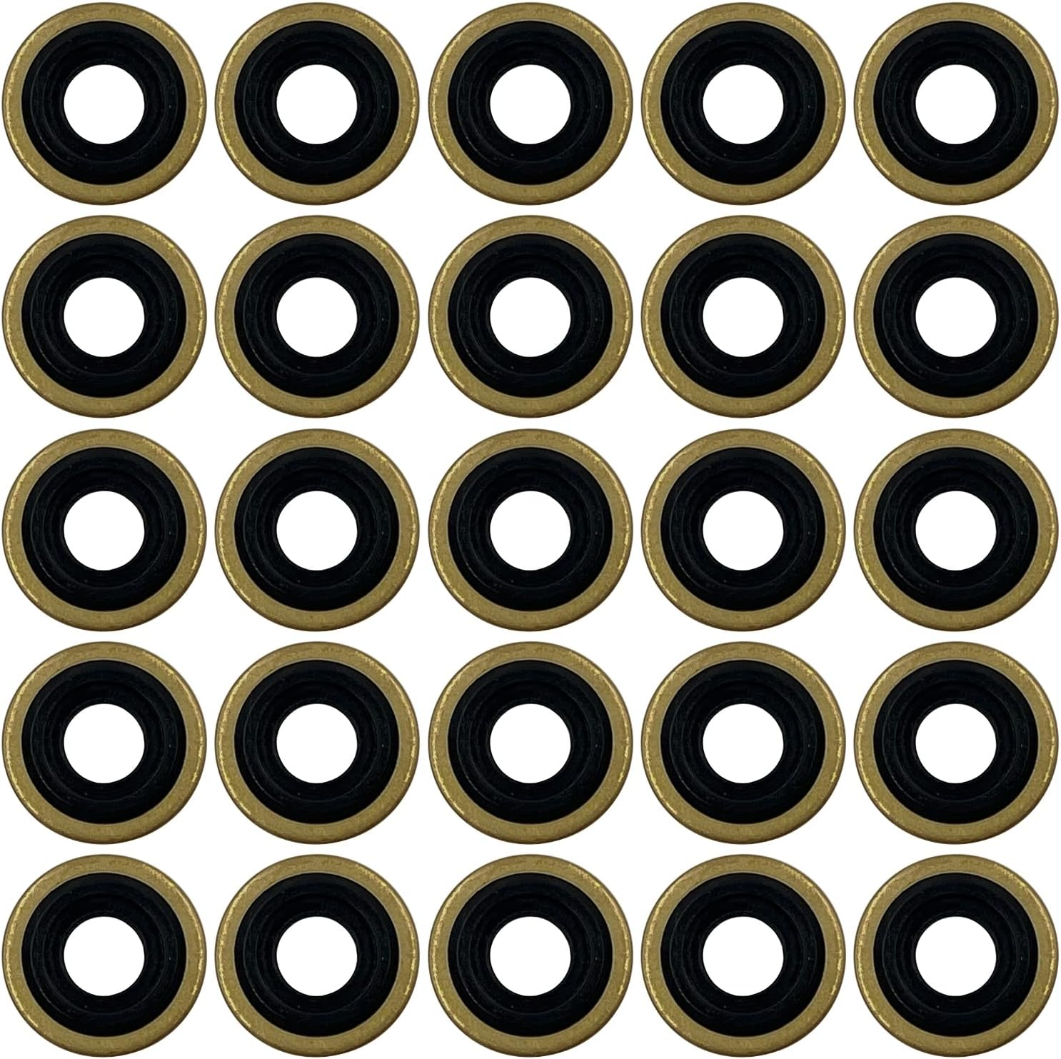 25Pk Oxygen Regulator Yoke Washer Seals