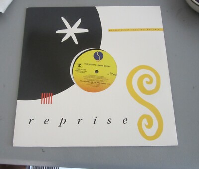 The Mighty Lemon Drops Fall Down (Like The Rain) 12'' Single Vinyl Reprise Promo