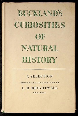 Buckland's Curiosities of Natural History L.R. Brightwell 1948 Illustrated