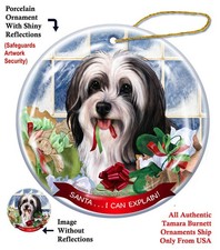 Tibetan Terrier Santa...I Can Explain Holiday Ornament